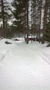 Hotelli Möhkön Rajakartano - Ilomantsi v zimě
