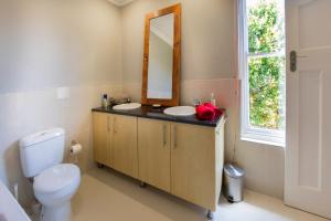 a bathroom with a toilet and a sink and a mirror at B's Place in Port Elizabeth
