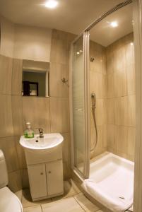 a bathroom with a shower and a sink and a toilet at Noclegi Europa in Bolesławiec