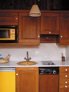 a kitchen with a sink and a microwave at La Llúpia in Isavarre