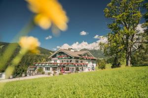 ラムサウ・アム・ダッハシュタインにあるLandhaus & Ferienwohnungen Bergrastの緑地の丘の上の大家