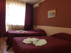 Afbeelding uit fotogalerij van Hotel Triumph in Nova Zagora