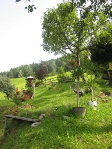 Ein Garten an der Unterkunft Ferienhaus Pirker