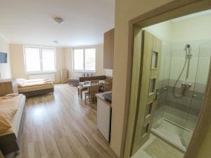 Kúpeľňa v ubytovaní Apartmány ORAVA-EDDA + 37 fotografií