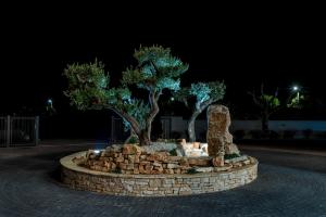 Zahrada ubytování Villa Anja