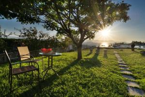 Táj Show holiday homes közelében