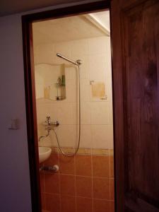 a bathroom with a shower with a sink and a toilet at Jafura in Dolná Turecká