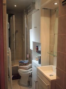 a bathroom with a toilet and a sink and a shower at GITE le 70 à TURCKHEIM, 10 min Colmar in Turckheim