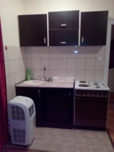 uma cozinha com um fogão, um lavatório e um micro-ondas em Apartment Viktor 2 stan na dan em Šabac