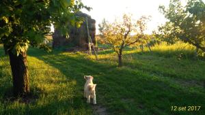 A garden outside Agriturismo Taglio del Re