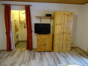 ein Wohnzimmer mit einem TV und Holzböden in der Unterkunft Ferienwohnung Hierzegger in Tauplitz