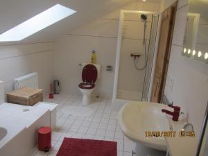 ein Bad mit einem WC, einem Waschbecken und einer Dusche in der Unterkunft Ferienwohnung am Fuß des Bayerischen Waldes in Wörth an der Donau