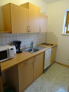 a small kitchen with a sink and a microwave at Ferienwohnung Hierzegger in Tauplitz
