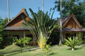 Zahrada ubytování Palm Garden Resort