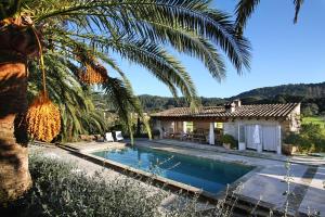 a villa with a palm tree and a swimming pool at Holiday home Can Pontico in Pollença