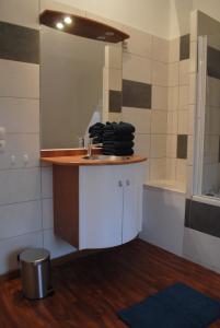 a bathroom with a sink and a mirror at Freedomus Marne-La-Vallée "Le Briard" in Esbly