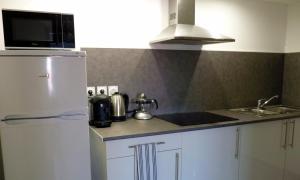 a kitchen with a white refrigerator and a microwave at Centre Ville Saint-Martin in Perpignan