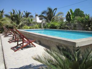 een zwembad met een rij stoelen ernaast bij Guacamayo Bed & Breakfast in Máncora