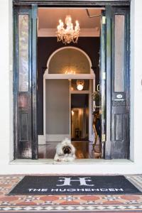 a dog is standing in front of a door at The Hughenden Boutique Hotel in Sydney