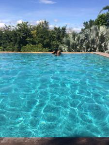 a person swimming in a large blue swimming pool at Bed & Breakfast Chiang Rai in Ban Du