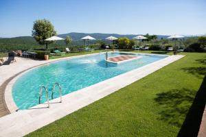 a large swimming pool with grass and umbrellas at Agriturismo Borghetto Il Montino in Rapolano Terme