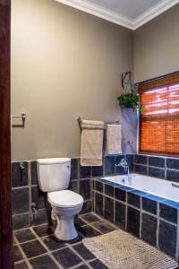 a bathroom with a toilet and a bath tub at 368 on Vaal | Riverside Retreat in Parys