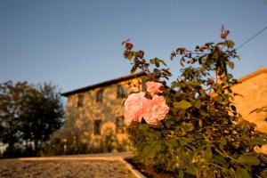 a bush with pink roses in front of a building at Villa il Castagno Wine & Resort in Siena