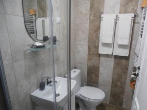 een badkamer met een toilet en een douche met een spiegel bij Gothic House in Sibiu +63 foto's