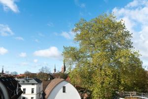 呂貝克的住宿－Apartment Stadtblick，白色建筑和天空前的树