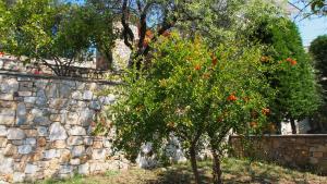 Φωτογραφία από το άλμπουμ του Villa Paparouna στο Πατητήρι