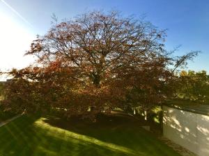 Giardino di Notarishuys "Pure Hotel"