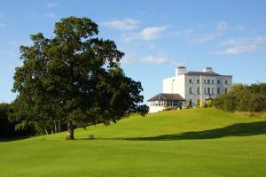 un árbol en la cima de una colina verde con un edificio en New Forest Estate Lodges, en Tyrrellspass