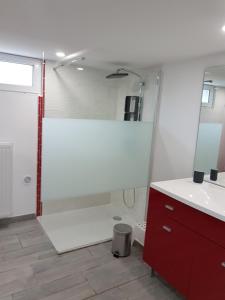 La salle de bains est pourvue d'une douche, d'un lavabo et d'un miroir. dans l'établissement Joli Studio, à Metz