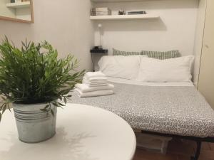 ローマにあるSmall Navona Studioのベッドルーム1室(テーブルに鉢植えの植物が置かれたベッド1台付)
