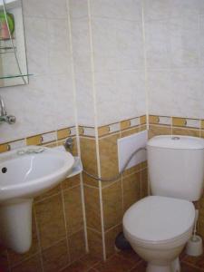 uma casa de banho com um WC e um lavatório em Villa Shipkovo em Shipkovo