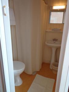 La salle de bains est pourvue de toilettes et d'un lavabo. dans l'établissement Hôtel Hélios, à Lourdes