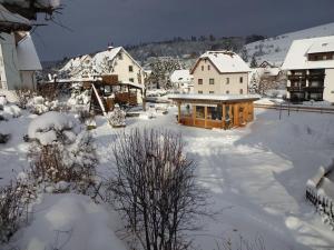 Schwarzwaldhaus Simmelehof om vinteren