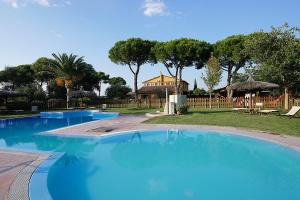a large blue swimming pool with a house in the background at Agriturismo Il Pelago in Castagneto Carducci