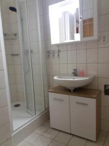 La salle de bains est pourvue d'un lavabo et d'une douche. dans l'établissement Apartman Kamila, à Janské Lázně