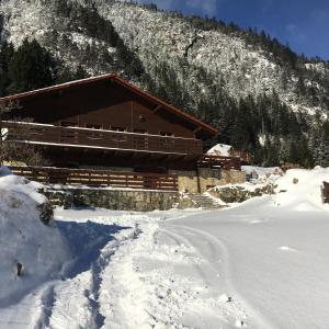 Lupshalte durante l'inverno