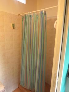 y baño con ducha y cortina de ducha. en La Casa De La Abuela Departamentos en El Bolsón