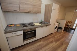 uma cozinha com um fogão, um lavatório e um frigorífico em Apartment Stuttgart Kaltental em Estugarda