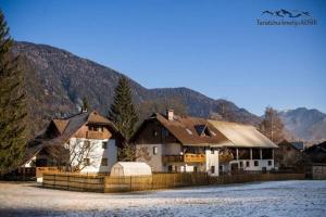 a large house with mountains in the background at Farm Košir in Kranjska Gora