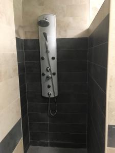 a shower with a shower head in a bathroom at Chalet piscina jakuzzi sevilla in Hacienda de Tarazona