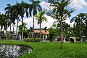 a park with palm trees and a pond at Rinn Boutique House in Chiang Mai