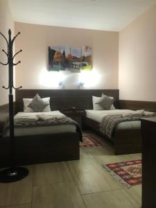 a bedroom with two beds and a lamp in it at Prenociste DM5 in Novi Pazar