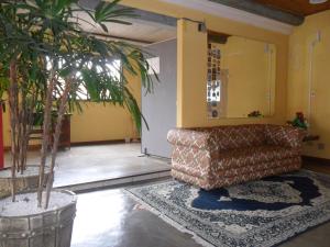 ein Wohnzimmer mit einem Sofa und einer Pflanze in der Unterkunft Pousada da Serra in Quatro Barras