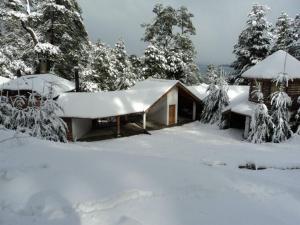 una casa cubierta de nieve con árboles en el fondo en La Torre de la Cascada en Villa La Angostura