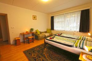 a living room with a bed and a couch at Ski Apartment in Janske Lazne