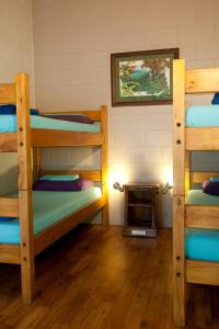 Postel nebo postele na pokoji v ubytování Dougies Backpackers Resort